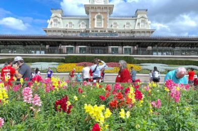 Going to Disney World Soon? Then Take a Look at This Swan and Dolphin Annual Passholder DISCOUNT!