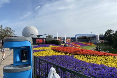 The Best Outdoor Activities and Attractions at EPCOT