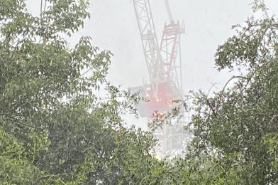 PHOTOS: Lightning Strike Causes Brief Fire at The Cove Construction Site in Walt Disney World