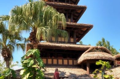 Everything You Need to Know About Walt Disney’s Enchanted Tiki Room