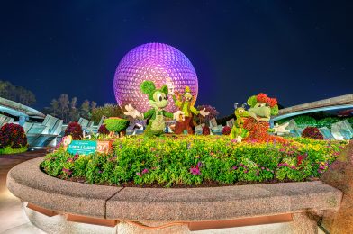 Proposed “Relaxation Zone” Mask-Free Locations Revealed for EPCOT