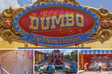 PHOTOS: Dumbo the Flying Elephant Reopens With No Indoor Playground at the Magic Kingdom