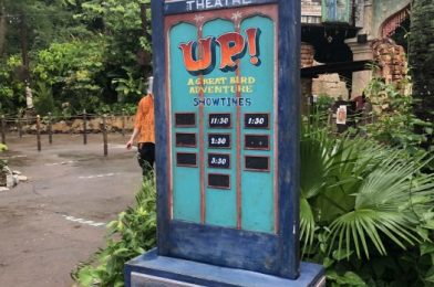 UP Is Away–New Bird Show at Disney’s Animal Kingdom