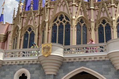 A Few Tips for Touring the Walt Disney World Parks During this Time