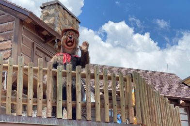 PHOTOS: The Country Bears Take to the Rooftops for Socially-Distanced Greetings at the Magic Kingdom