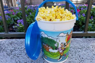 Ranking Ten of the Most Popular Walt Disney World Snacks