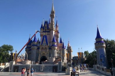 PHOTOS: Welcome Back to the Magic Kingdom – We Separate Reality From Fantasy