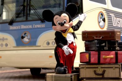 Disney’s Magical Express Luggage Delivery Service at Orlando International Airport Suspended Beginning July 16th