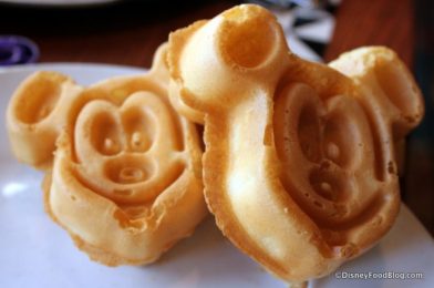 Oh Boy! We Just Found an ADORABLE Mickey Waffle Sundae in Disney World!