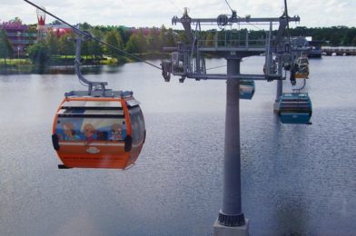 The Complete Guide to Walt Disney World Transportation with New Safety Protocols