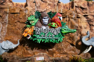 Rainforest Cafe Now Reopened at Disney Springs with Limited Menu