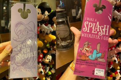 PHOTOS: Make a Splash with NEW Splash Mountain Door Hangers from the Briar Patch at the Magic Kingdom