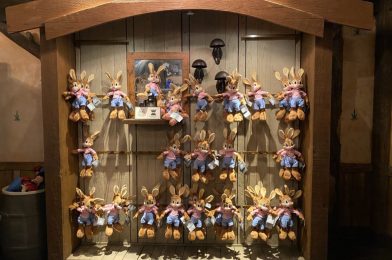 PHOTOS: Splash Mountain Themed Merchandise Restocked After Selling Out at the Magic Kingdom