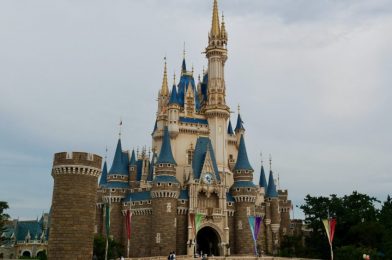 PHOTO REPORT: Tokyo Disneyland 7/14/20 (Social Distancing Successes & Hiccups, Cinderella Castle Completed, and More!)