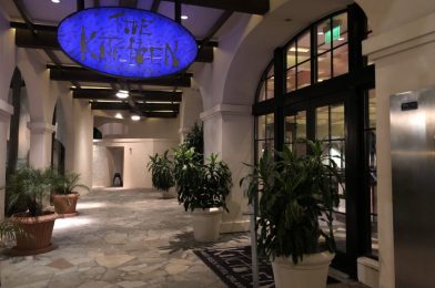 REVIEW: “The Kitchen” Restaurant in the Hard Rock Hotel at Universal Orlando Resort Is As Forgettable As Its Name