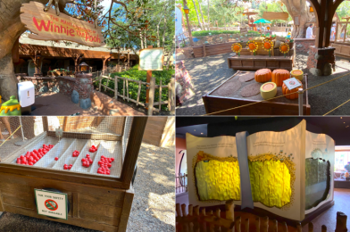 PHOTOS: The Many Adventures of Winnie the Pooh Reopens with No Rabbit’s Garden Play Area at the Magic Kingdom