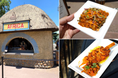 REVIEW: Africa Marketplace Brings the Heat at the Taste of EPCOT International Food & Wine Festival 2020