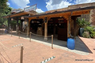 Review! The NEW Korean Fried Chicken Sandwich from Disney’s Animal Kingdom