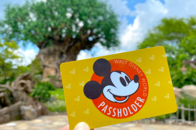 Walt Disney World Resort Annual Pass Sales Temporarily Suspended