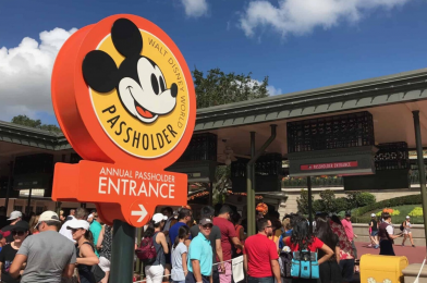 Walt Disney World Now Processing 4 Months of Payments at Once for Annual Passholders on Monthly Plan