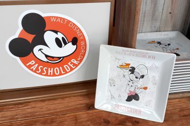 30% Off Merchandise Discount Now Available for Annual Passholders Through August 14 at Walt Disney World