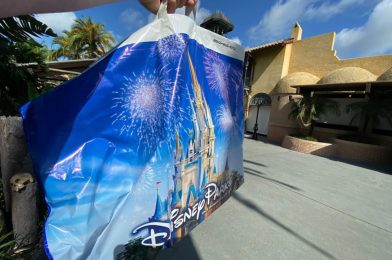 Walt Disney World Theme Parks Not Offering Merchandise Pickup or Resort Hotel Delivery During Phased Reopening