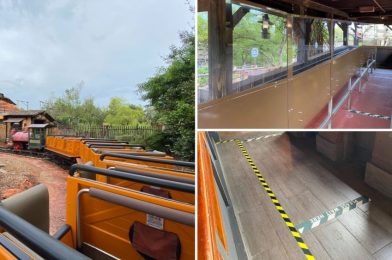 PHOTOS: Big Thunder Mountain Railroad Reopens at the Magic Kingdom With Queue Modifications