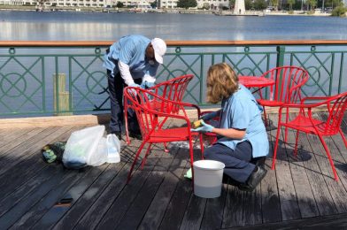 Walt Disney World Recalling Small Number of Additional Food and Housekeeping Cast Members Starting July 12