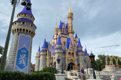 Guide to Wearing a Face Mask at Walt Disney World – Tips and Suggestions