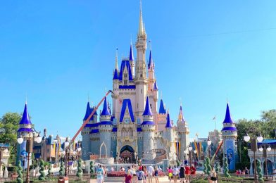 Walt Disney World Resort 2020 Theme Park Ticket Sales and Disney Resort Hotel Bookings Now Available