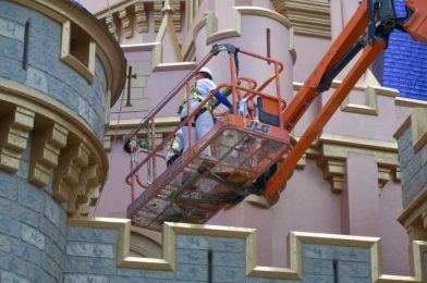 PHOTOS: Reimagining of Cinderella Castle Continues with Fascinating “Paint By Numbers” Technique