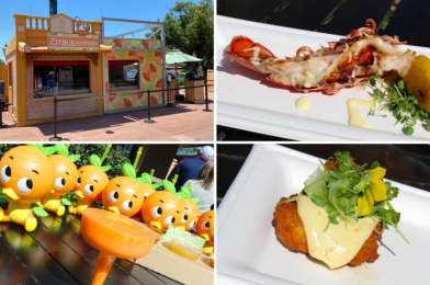 REVIEW: The Citrus Blossom Brings Back Orange Bird to Taste of EPCOT International Food & Wine Festival 2020