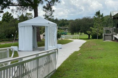 PHOTOS: New Ramp and Temperature Screening Tent Installed Near Magic Kingdom Walkway Bridge, Plus Latest Update on New Dock