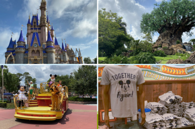 WDWNT Weekly Recap: The Magic Kingdom and Disney’s Animal Kingdom Reopen After Historic COVID-19 Closure, and More!