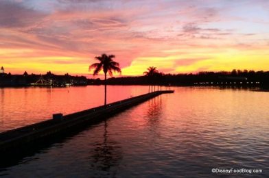 NEWS: Florida Governor Extends State of Emergency and Tri-State Quarantine Order for Another Two Months