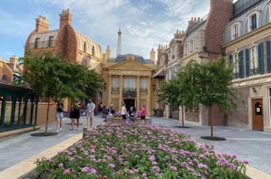 PHOTOS: Newly Planted Trees Return to the Renovated France Pavilion at EPCOT