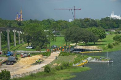 PHOTOS: Work Continues on Disney’s Grand Floridian Resort to Magic Kingdom Walkway Bridge