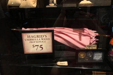 PHOTOS: Hagrid’s Umbrella Wand Casts Spells While Keeping Us Dry at Universal Studios Orlando