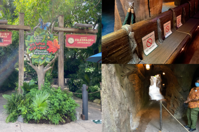 PHOTOS: “It’s Tough to be a Bug!” Reopens With Hand Sanitizing Stations and Social Distancing at Disney’s Animal Kingdom