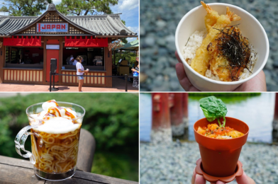 REVIEW: Japan Brings Delicious Donburi and a Fresh Sushi Flower Pot at the Taste of EPCOT International Food & Wine Festival 2020