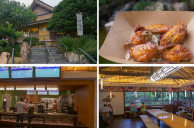 PHOTOS, REVIEW: Katsura Grill Reopens at the Japan Pavilion at EPCOT with Social Distancing and Delicious New Yuzu Miso Wings