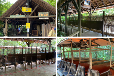 PHOTOS: Kilimanjaro Safaris Installs Social Distancing Markers and Plexiglass Barriers