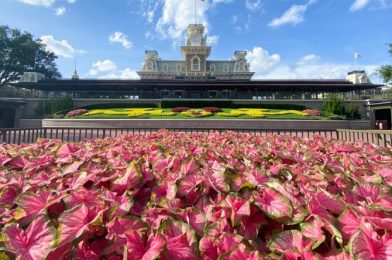 Say “Goodbye” to the Construction Walls Surrounding This Classic Magic Kingdom Attraction!