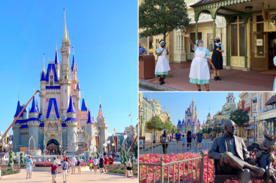 PHOTOS: First Look at the Magic Kingdom Reopening Arrival Experience and a Walk Down Main Street to Cinderella Castle