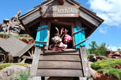 NEWS: Splash Mountain Has Reopened in Disney World