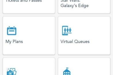 Latest My Disney Experience App Update Adds New Virtual Queue Menu Ahead of Reopening