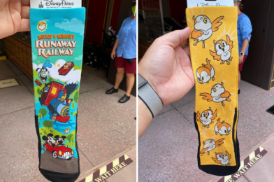 PHOTOS: New Chuuby Bird and Mickey & Minnie’s Runaway Railway Socks Land at Disney’s Hollywood Studios