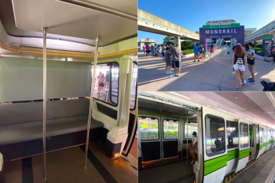 PHOTOS, VIDEO: New Monorail Social Distancing Guidelines and Boarding Procedure at Walt Disney World