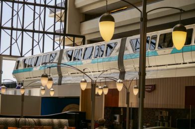 Walt Disney World Monorail Transportation to Partially Resume July 11; Additional Transportation Updates Released