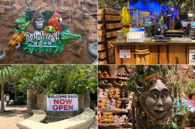 PHOTOS: Rainforest Cafe Reopens at Disney’s Animal Kingdom & Disney Springs with Social Distancing Measures